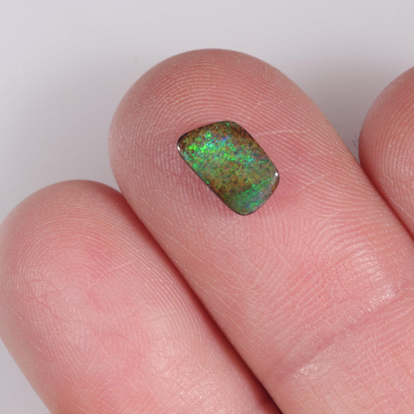 Boulder Opal 1.1 cts 36365