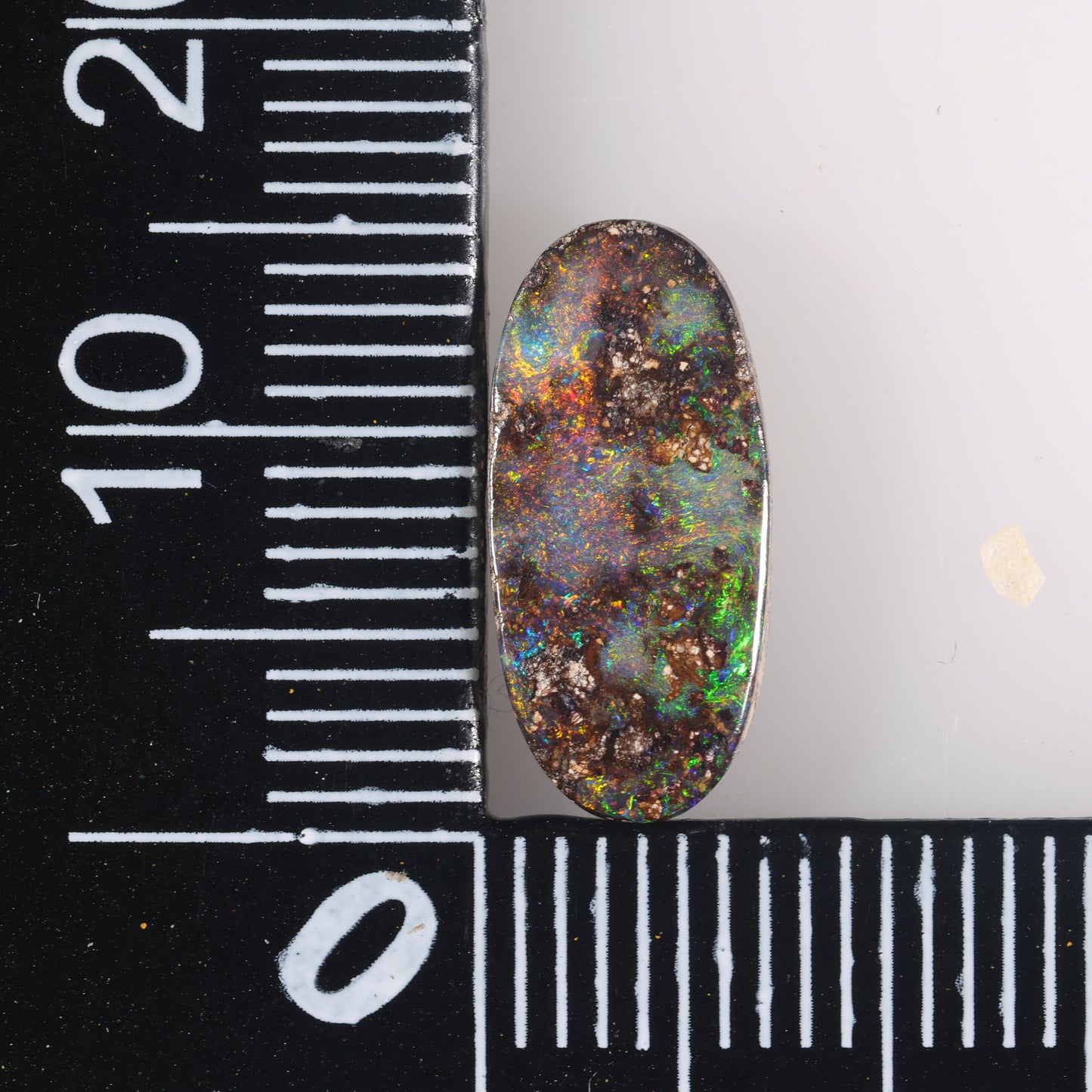 Boulder Opal 2.7 cts 36385