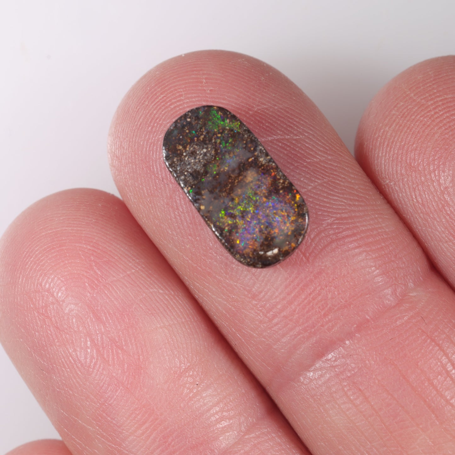 Boulder Opal 3.3 cts 36386