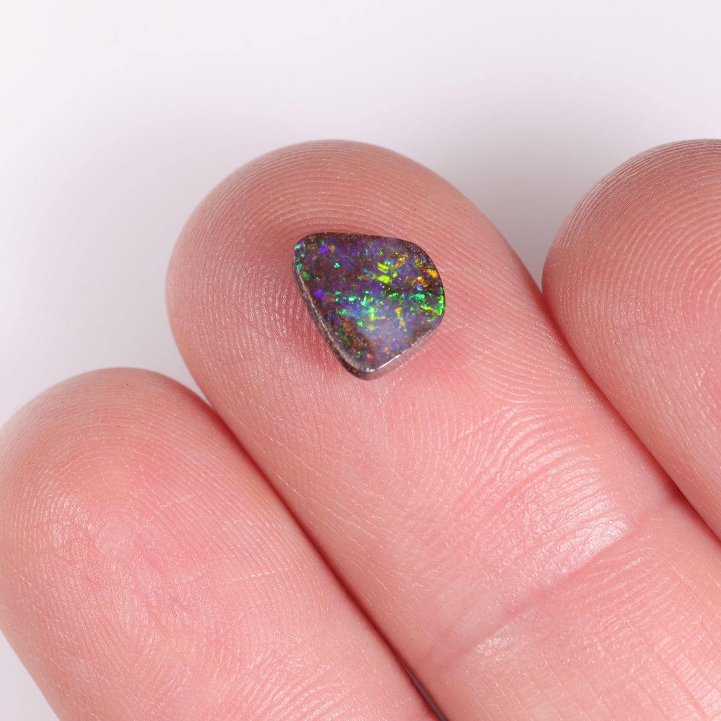 Boulder Opal 1.15 cts 36563