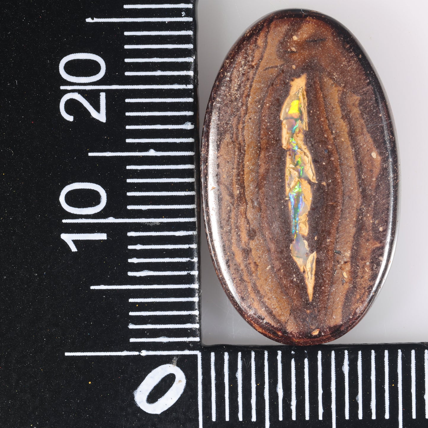 Boulder Opal 16.32 cts 36774