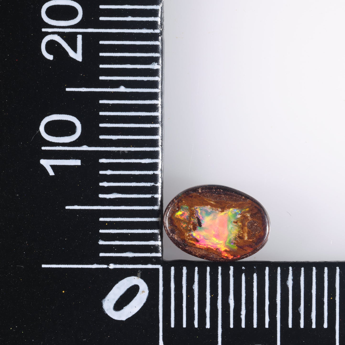 Boulder Opal 1.64 cts 36909
