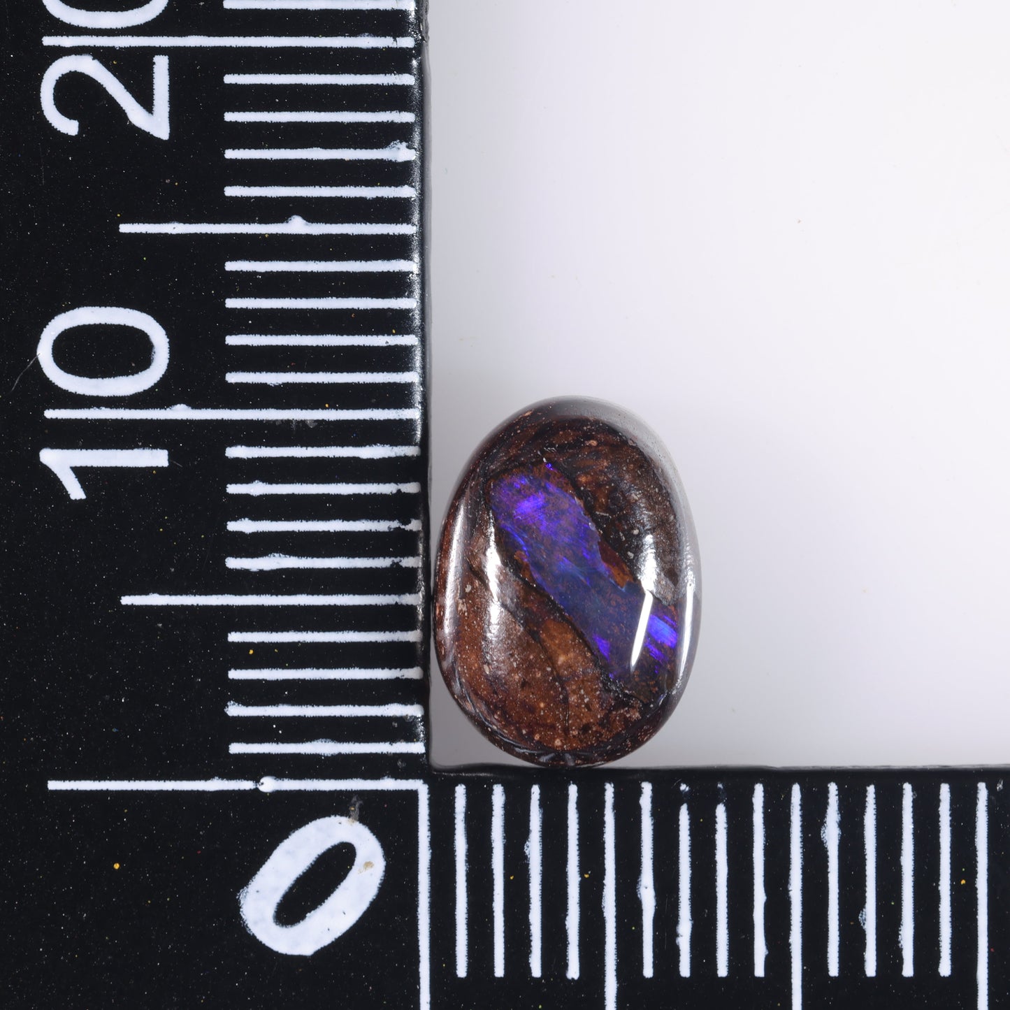Boulder Opal 3.47 cts 37119
