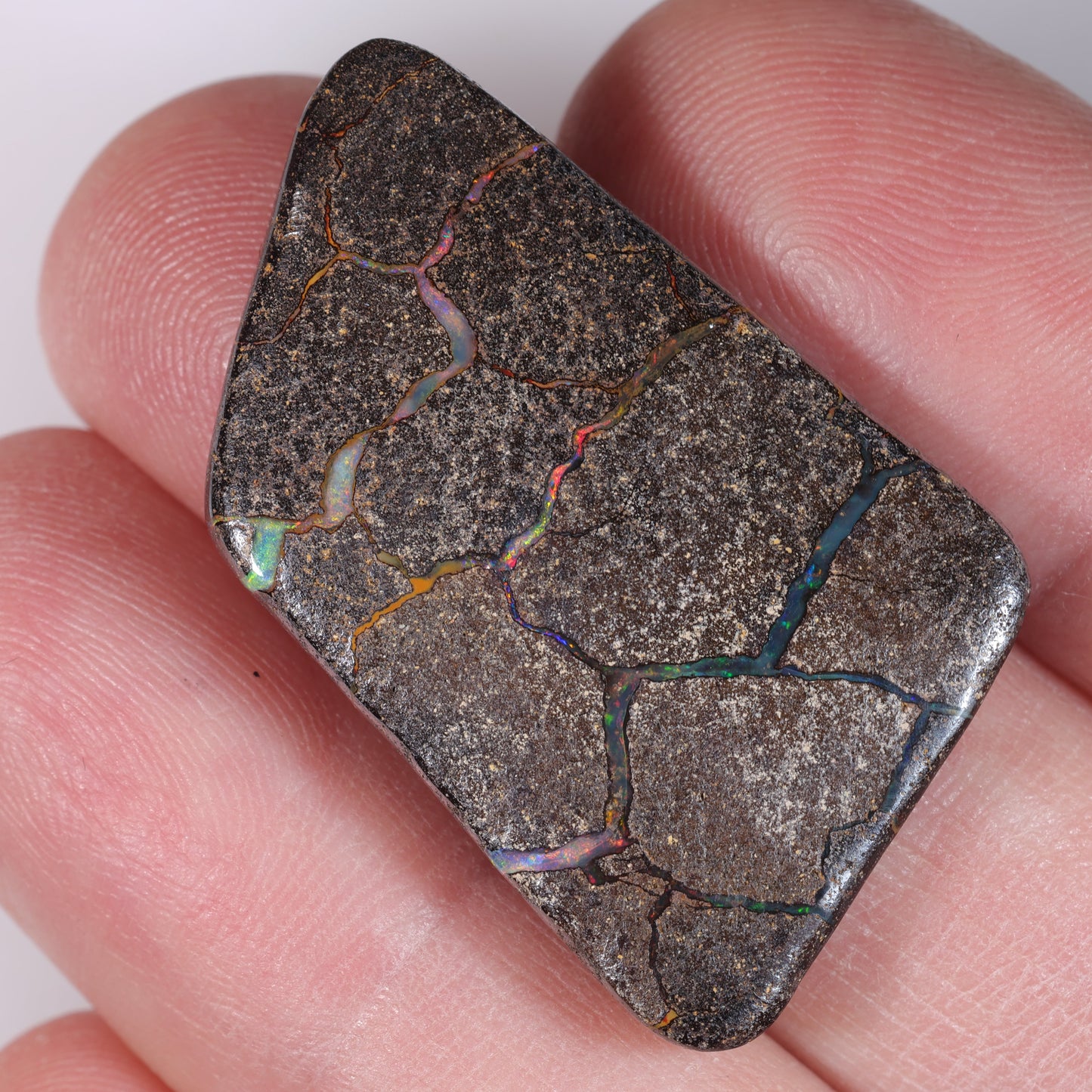 Boulder Opal 37.49 cts 37499