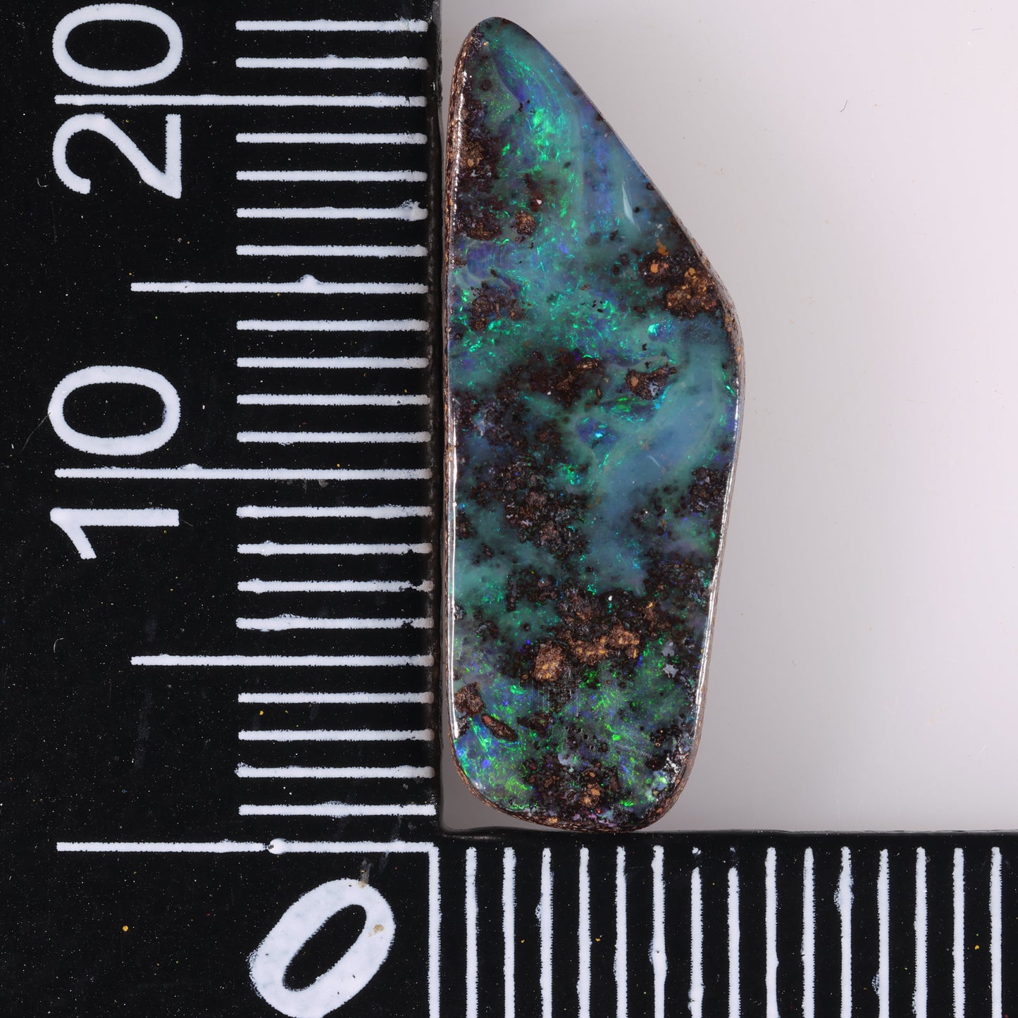 Boulder Opal 5.58 cts 37531