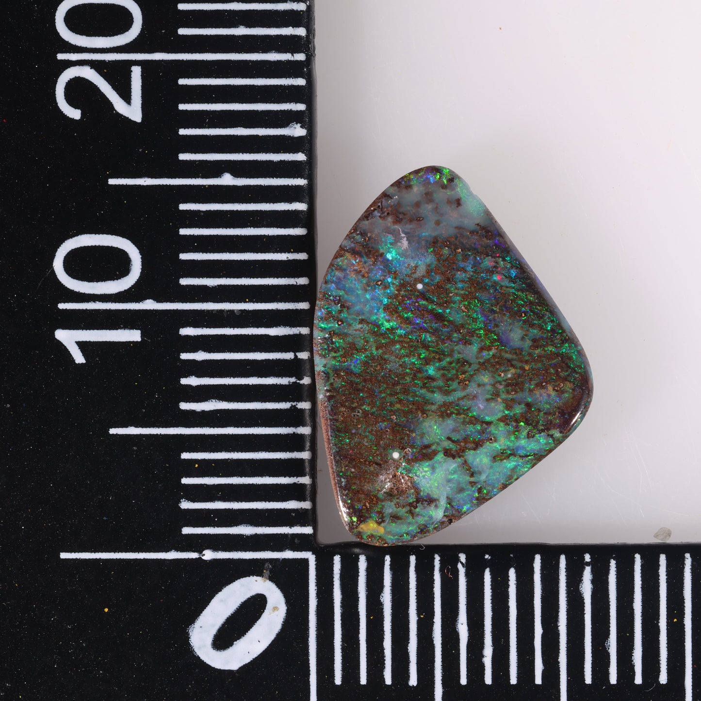 Boulder Opal 4.42 cts 37583