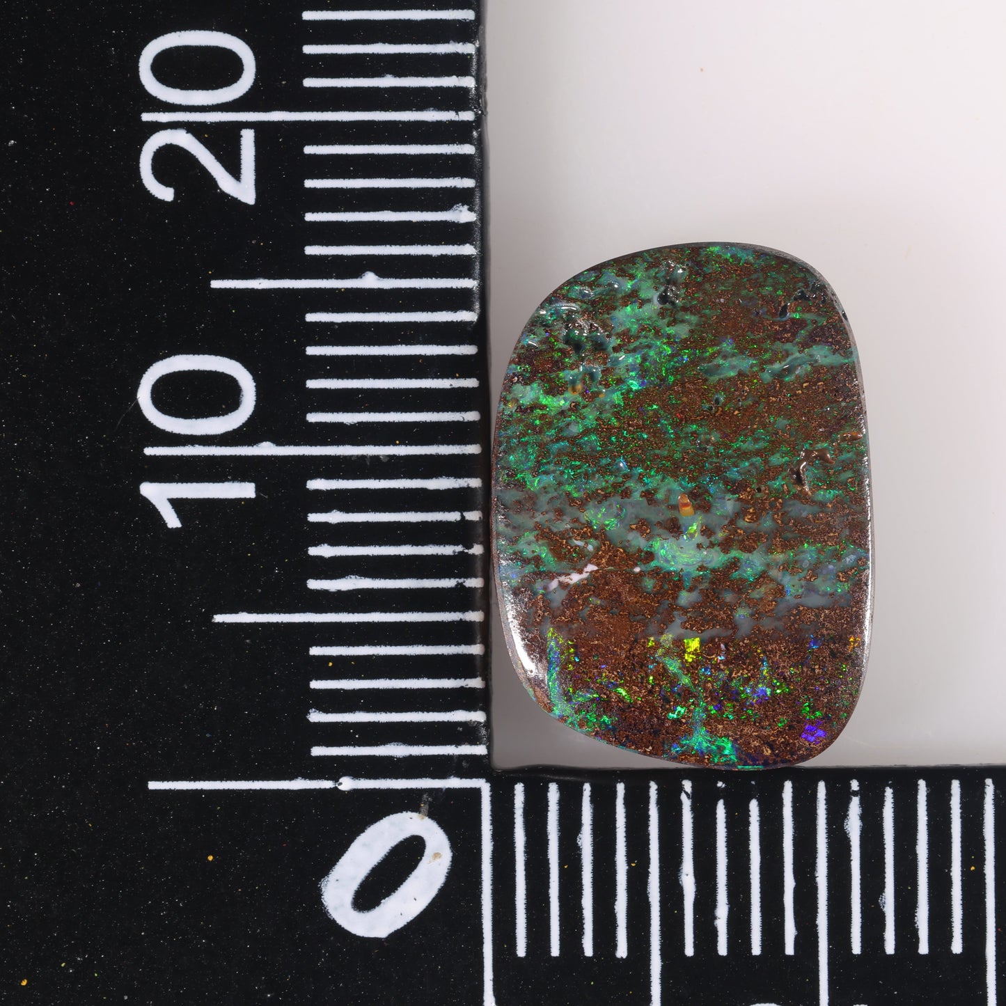 Boulder Opal 7.67 cts 37631
