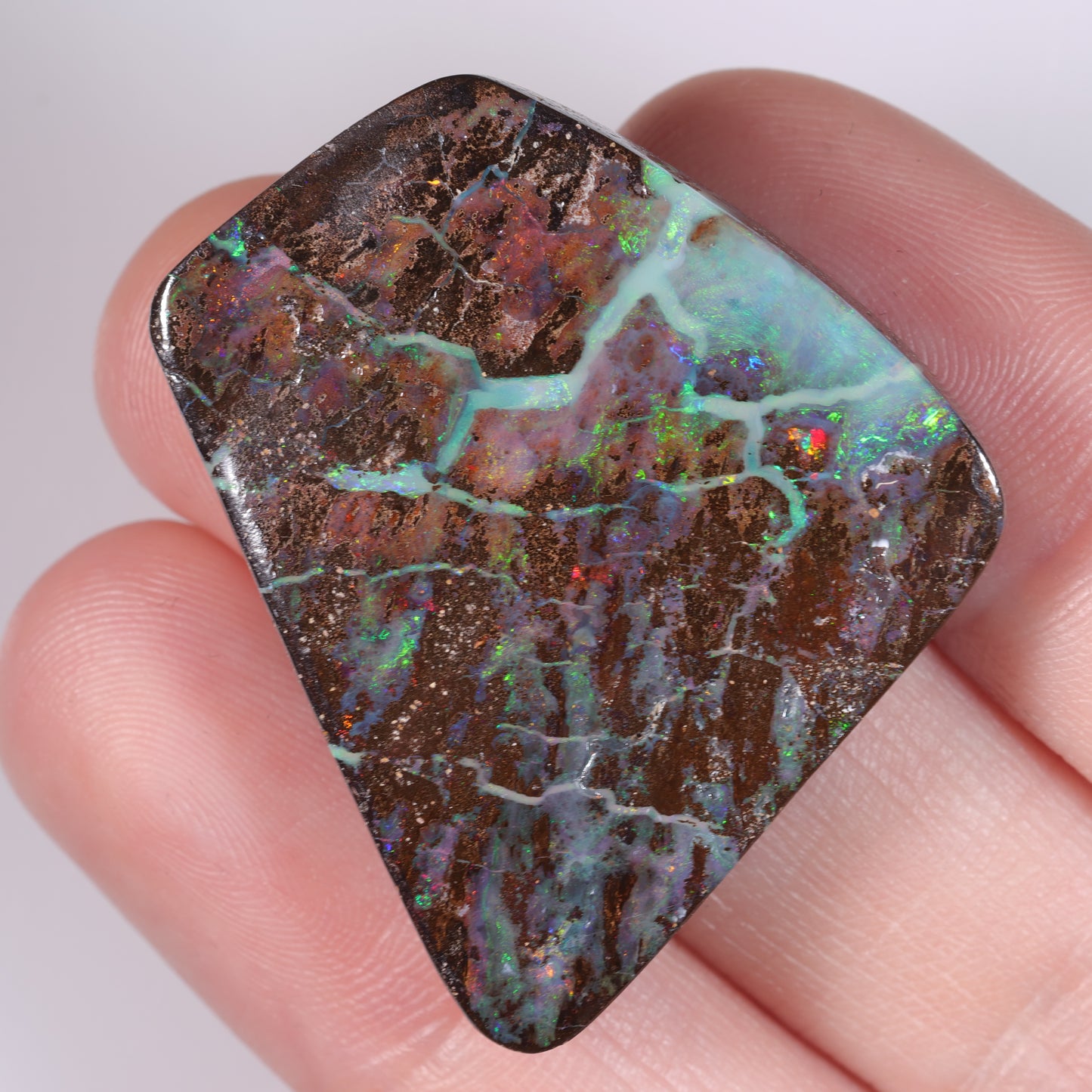 Boulder Opal 51.74 cts 37988