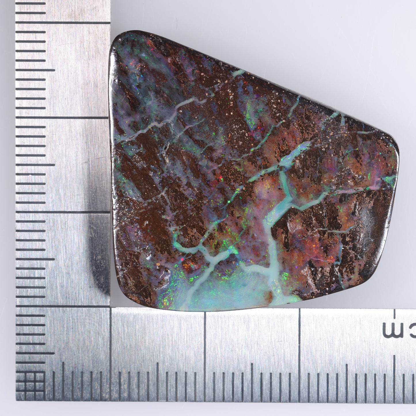 Boulder Opal 51.74 cts 37988