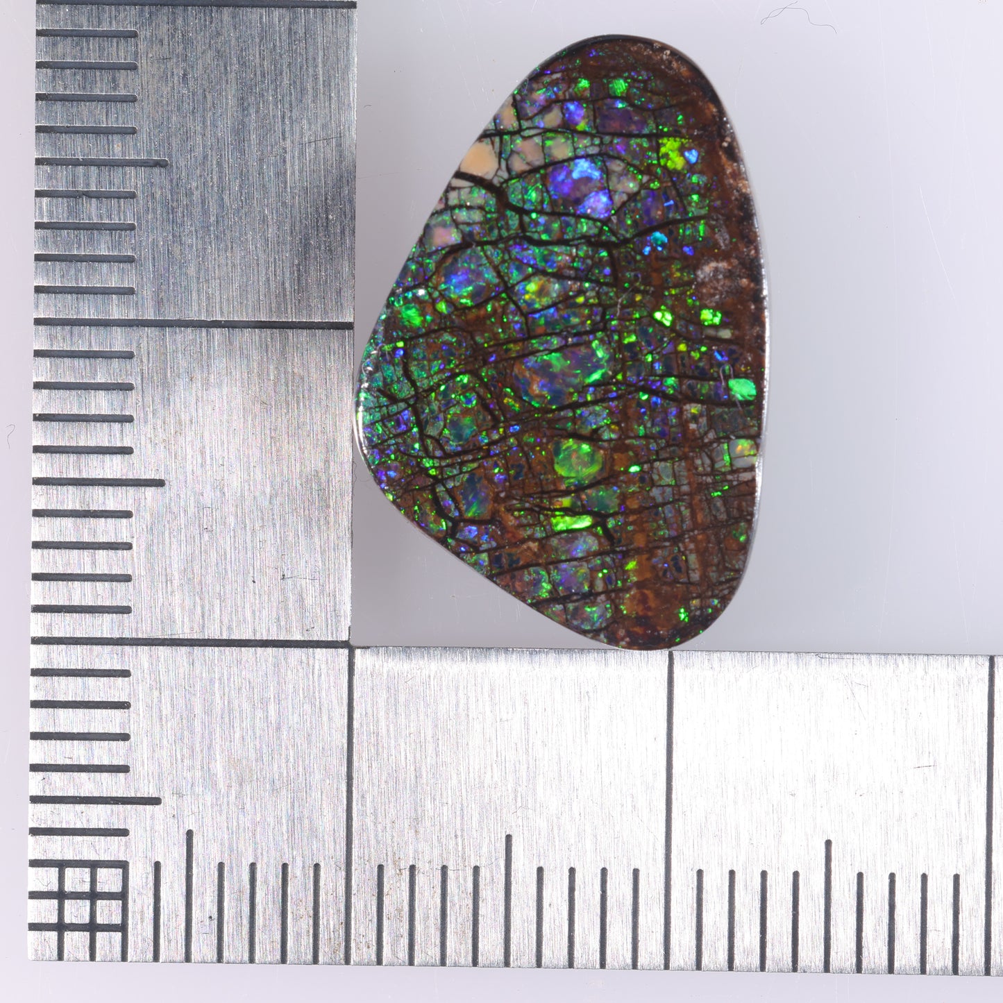Boulder Opal 8.58 cts 38034