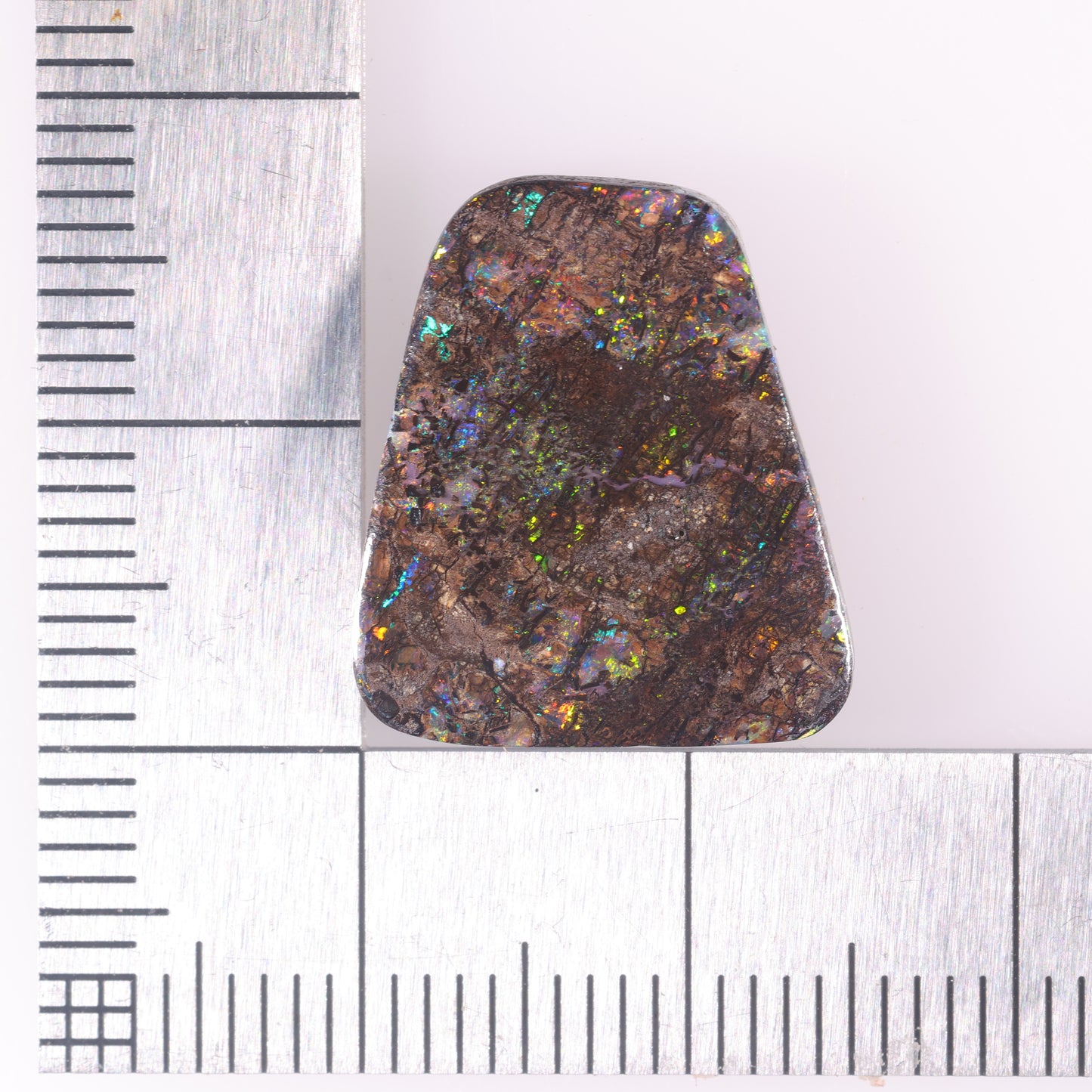Boulder Opal 9.66 cts 38156
