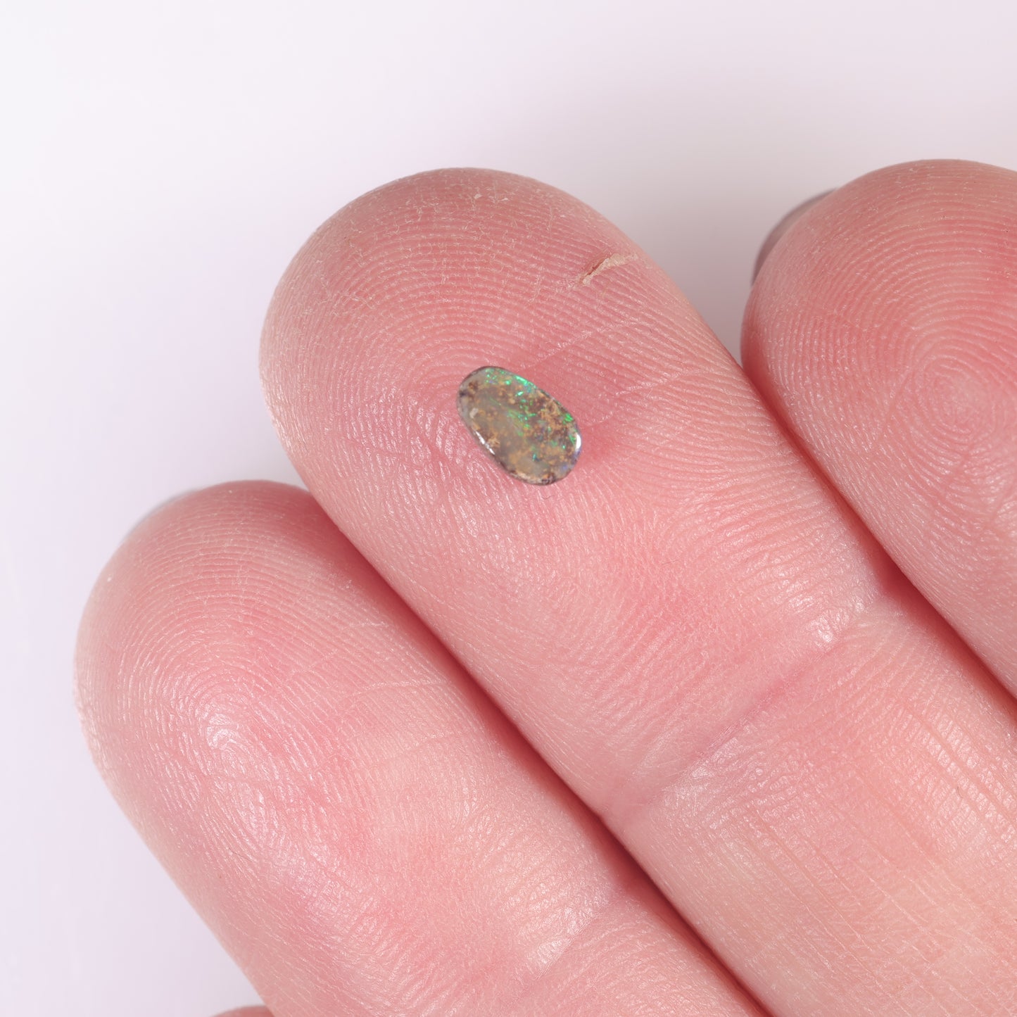 Boulder Opal 0.44 cts 38383