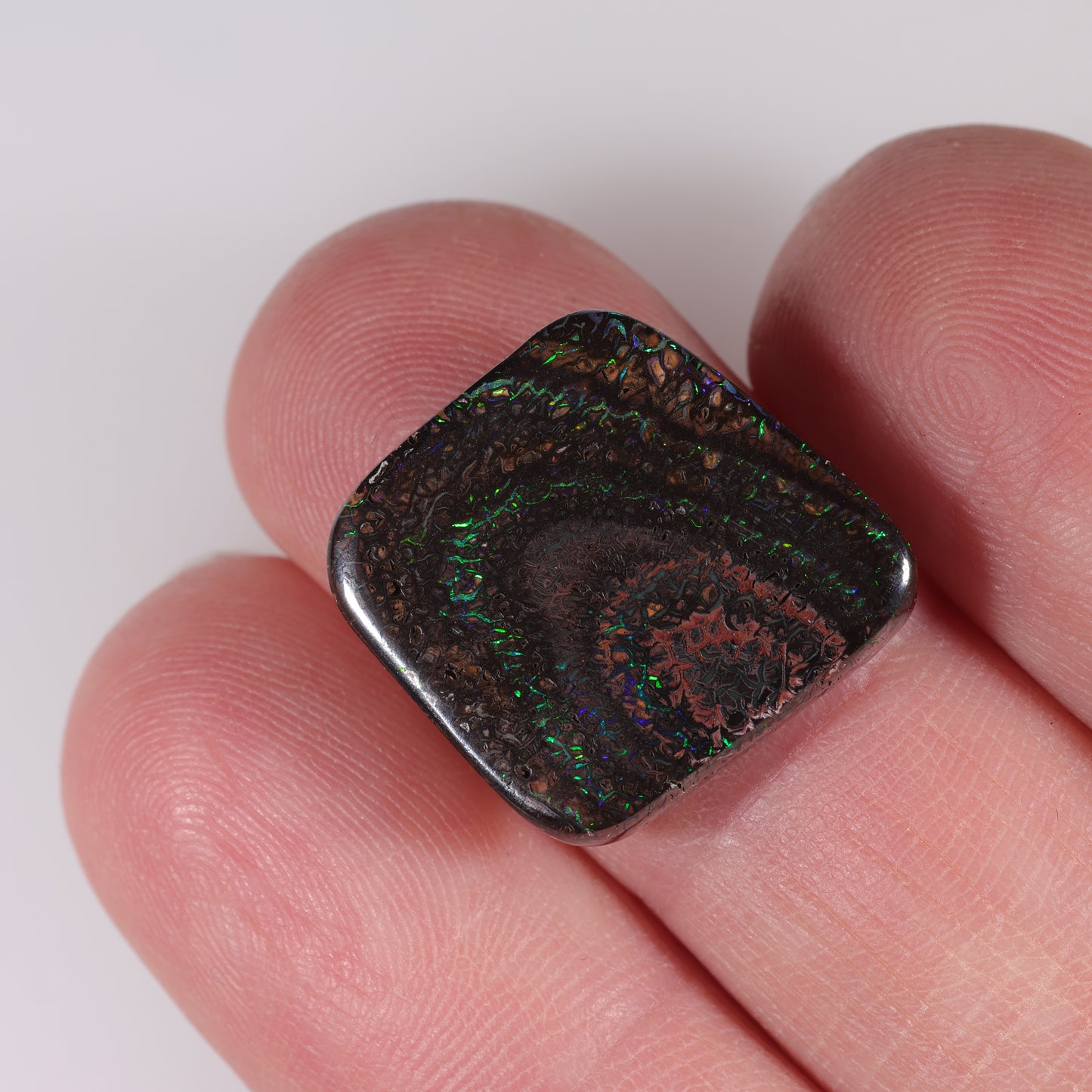 Boulder Opal 12.82 cts 38896