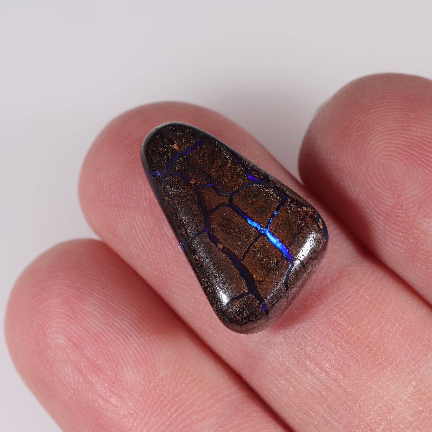 Boulder Opal 13.7 cts 38897