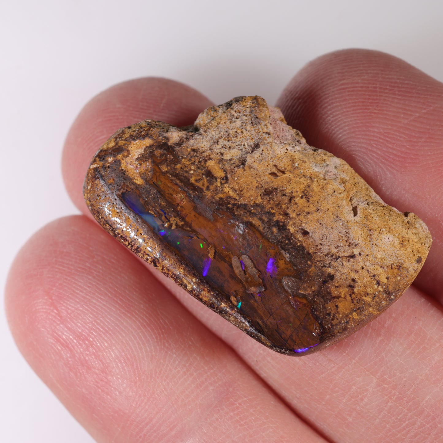 Boulder Opal 31.6 cts 39236