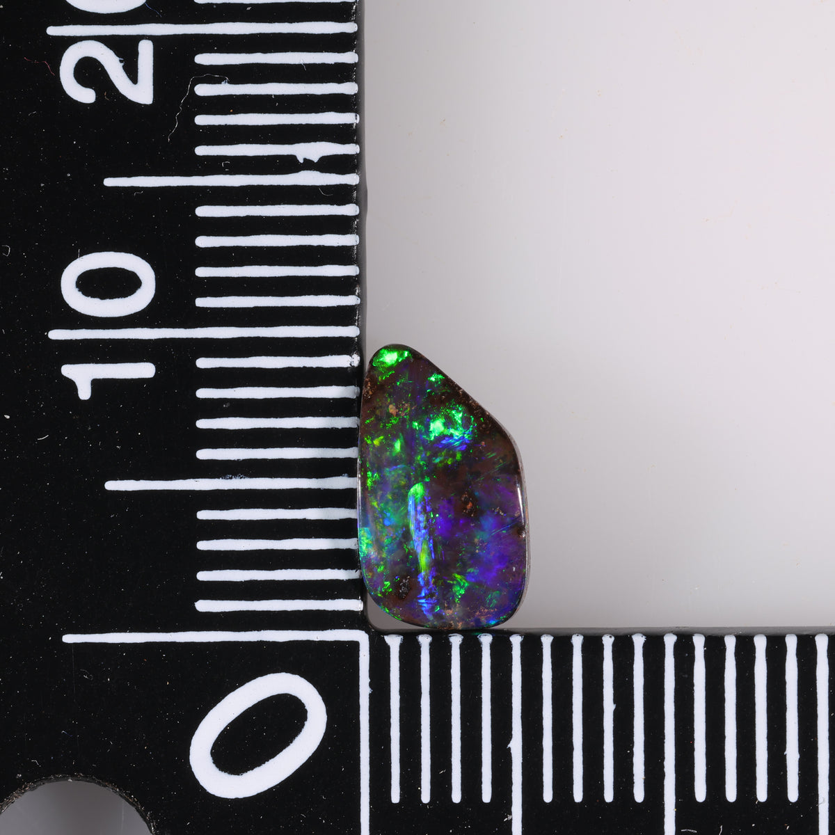 Boulder Opal 1.66 cts 39490