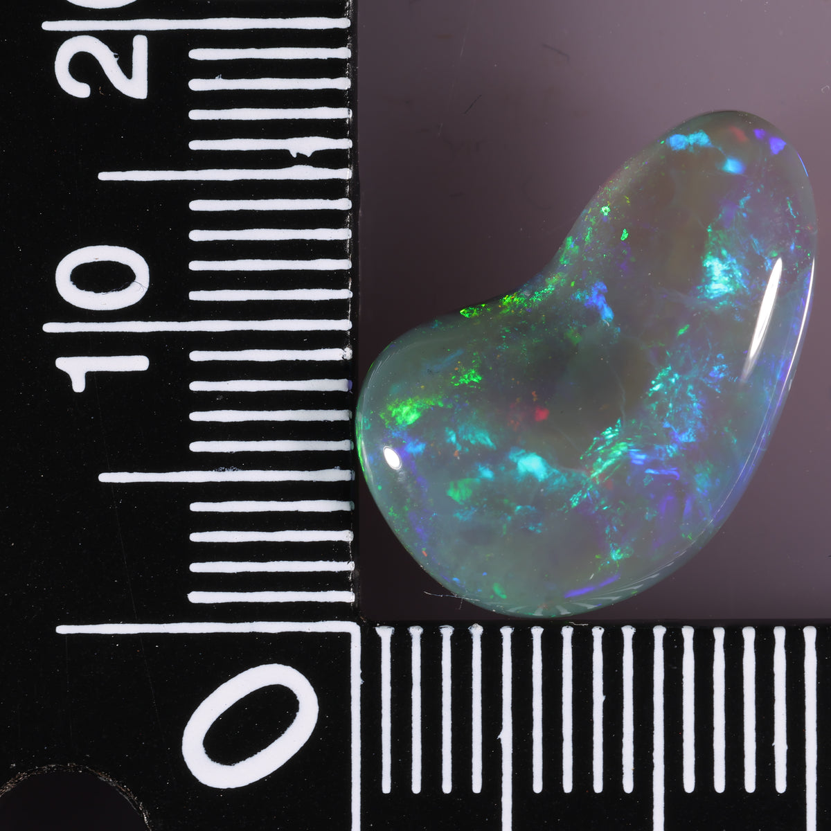 Lightning Ridge Nobby 6.67 cts 39581