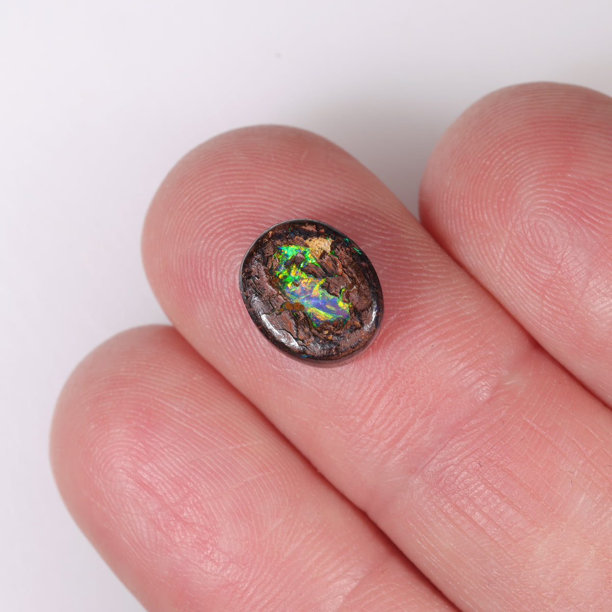 Boulder Opal 3.39 cts 39600