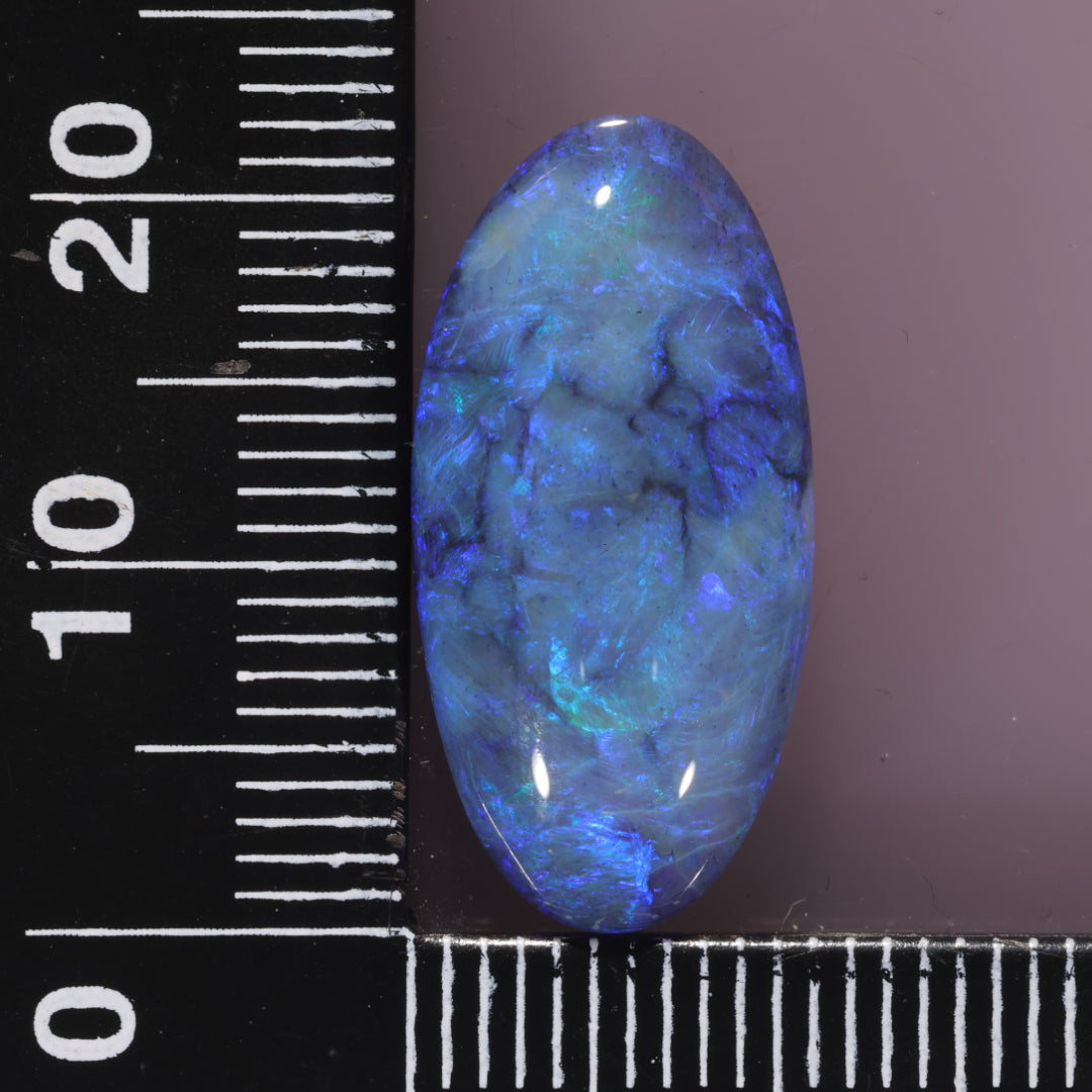 Lightning Ridge Opal 8.54cts 25533